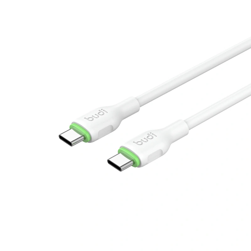 Budi DC261TT21W 2.1m Type-C to C Cable