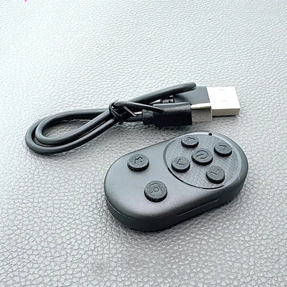Maxguard MR01 Wireless Remote Control