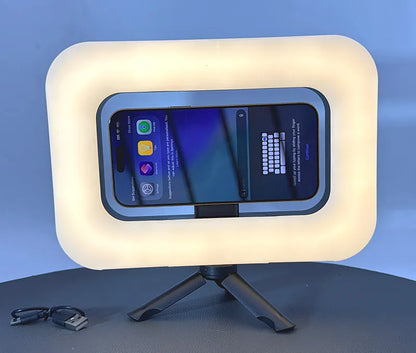 Handheld portable magnetic beauty fill light ZGRL01